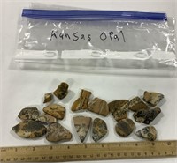 17 Kansas Opals rocks