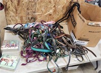Various sized horse halters