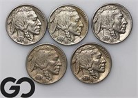 5-coin Lot, Buffalo Nickels, Circulated