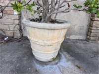 5 Concrete planters with plants
