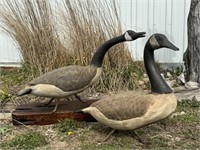 Fine Pair Antique Canadian Goose Decoys