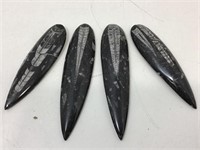 4 Orthoceras fossil in cut stone paperweights.