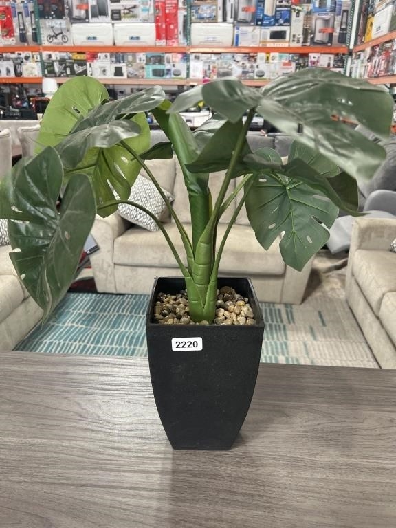 SMALL ARTIFICIAL PLANT RETAIL $29