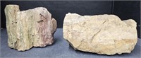 (AJ) Petrified Wood Pieces 5" By 7" And 8.5" By