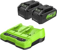 2 Pack GreenWorks USB Batteries/Port Rapid Charger