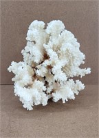 Vintage Natural Ocean Sea Coral Chunk