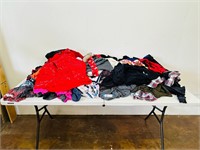 (65) Pieces of Women's Clothes size 2x-3x