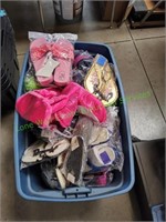 Tote of Women's & Kid's Shoes