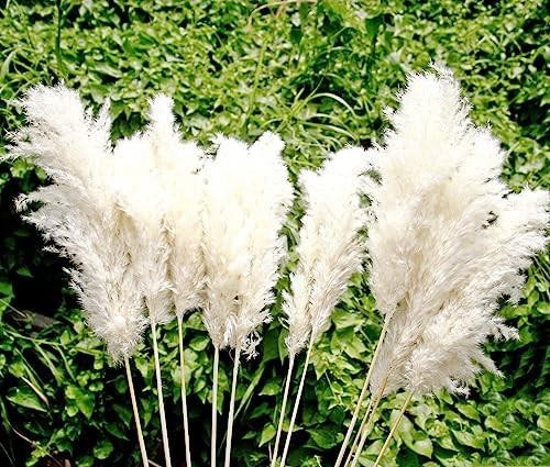 *35-inch Tall White Pampas Grass Bouquet Decor - B