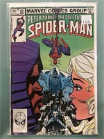 Peter Parker: Spectacular Spider-Man #82