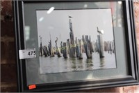 FRAMED PELICAN PRINT