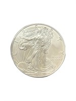 2013 Walking Liberty 1 Troy Ounce Silver Coin
