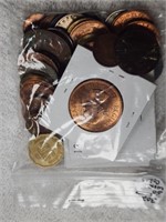 Bag of 50 World Coins