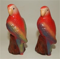 Vintage Colorful Parrot Birds