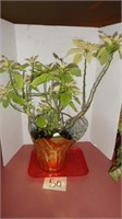 Household Plant