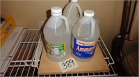 Vinegar / Ammonia / Cutting Board Lot