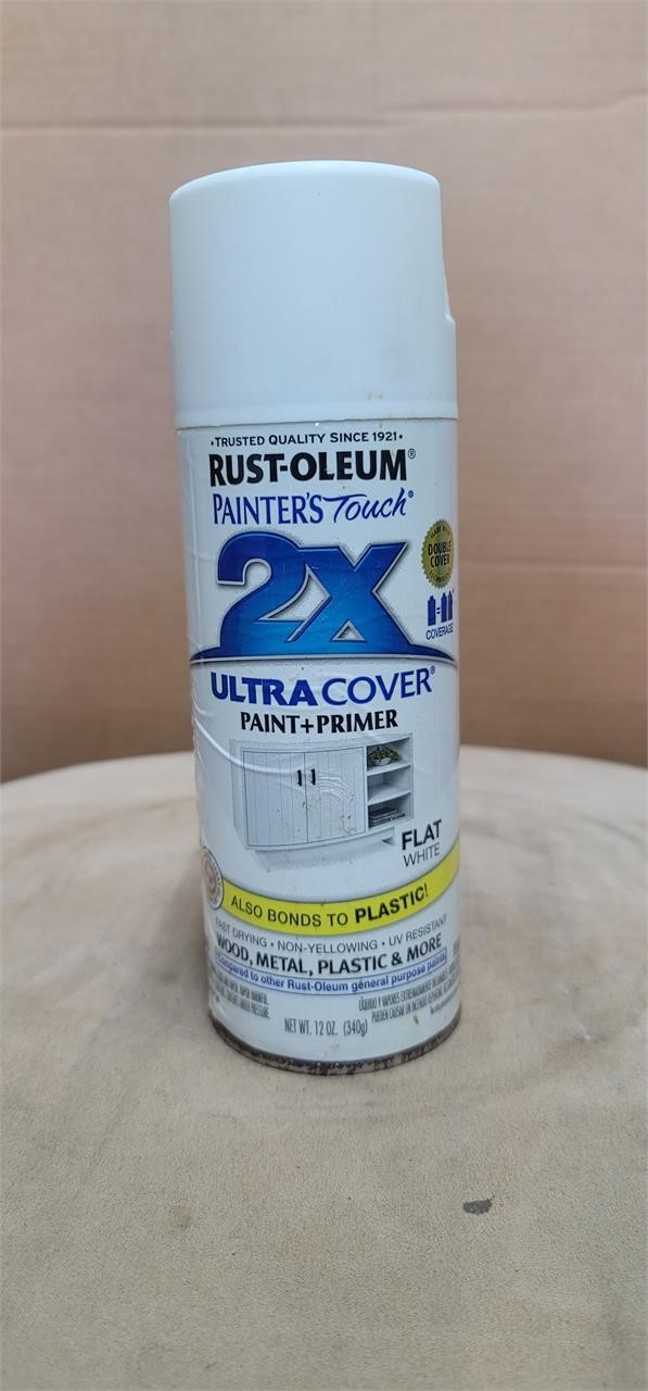 Rust - Oleum Painter's Touch Paint and Primer