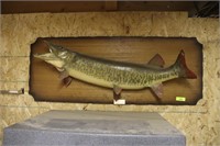 Canada Muskie Mounted