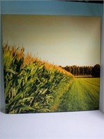 Photo on framed canvas  23.5in x 23.5in
