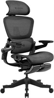 HINOMI H1 Pro V2 Ergonomic Chair  Black