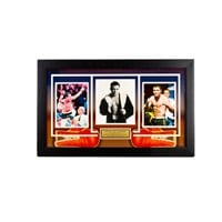 Oscar De La Hoya "The Golden Box of Boxing"