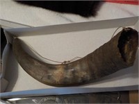 Early powder horn