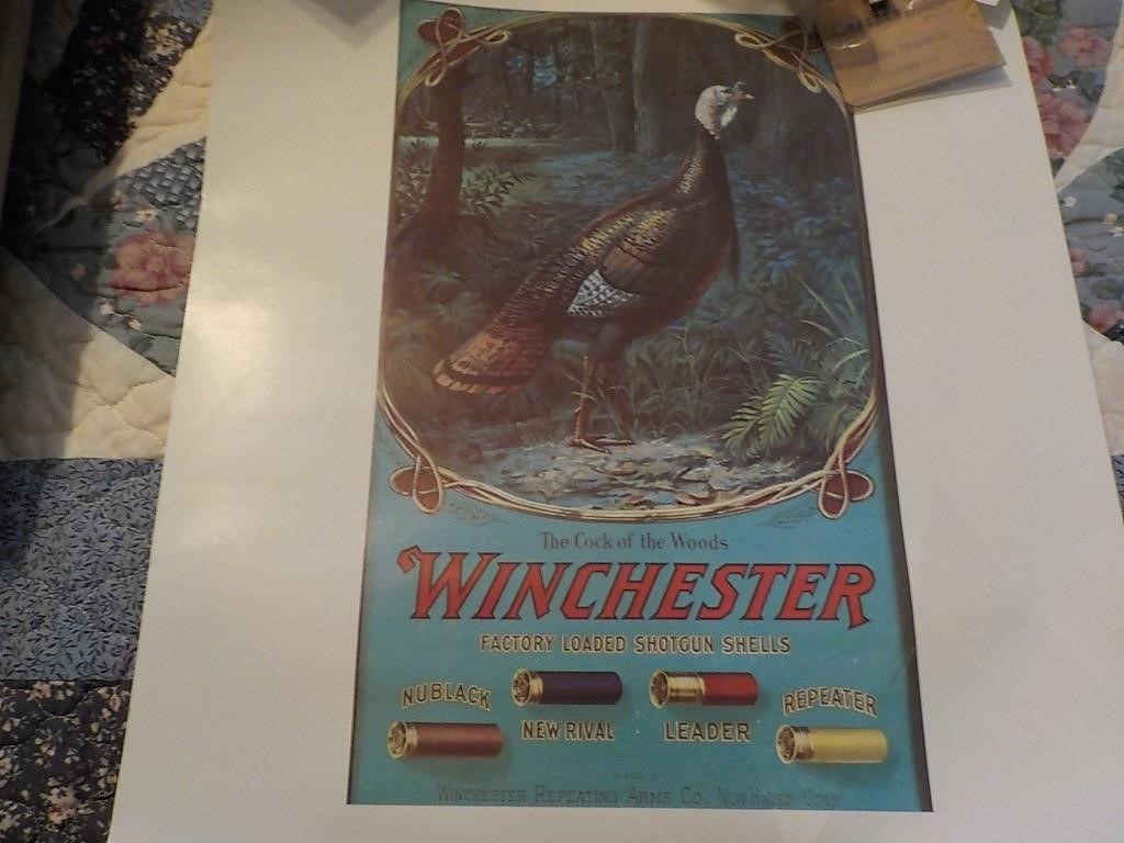 Winchester poster