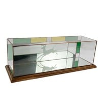 Glass & Mirrored Etched Stag Custom Display Case