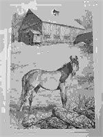 Gene Matras - Untitled Horse & Barn Numbered Print