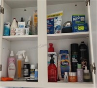 Bathroom Cabinet Contents