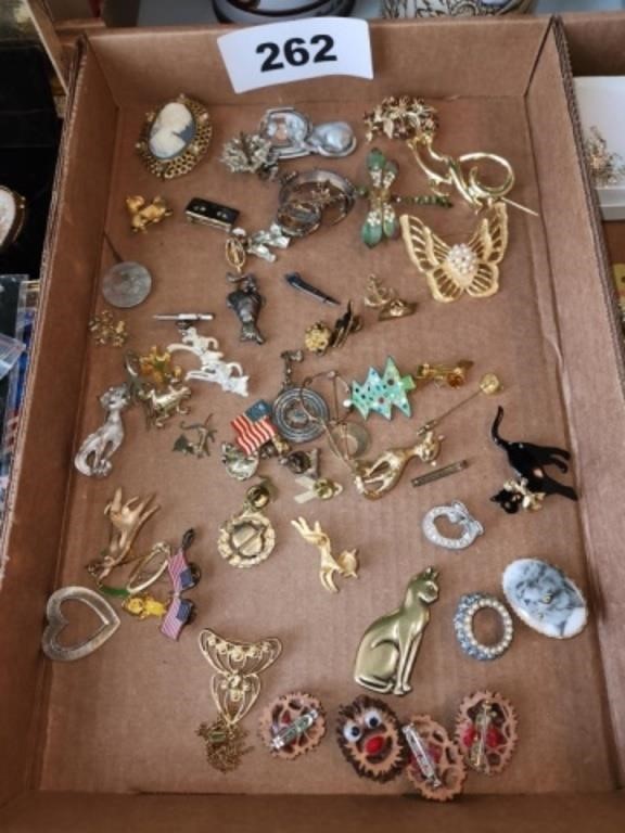 LOT VARIOUS JEWELRY PINS