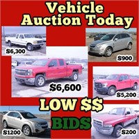 TODAY's Spring Auction - March 30, 2024