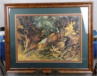 Framed Pheasants Print by Jamie Carter