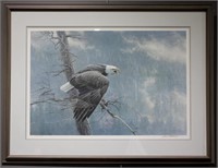 Large Robert Bateman Eagle Print - Signed