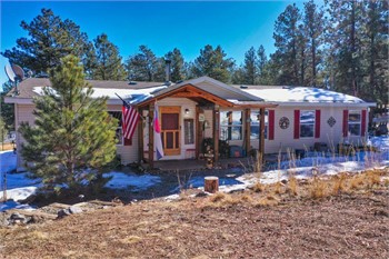 434 Blue Mountain Dr, Florissant, CO 80816