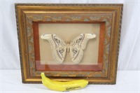 Vintage Wood Framed Preserved Moth/Butterfly