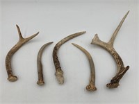 Set Of Deer Antlers