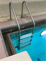 Pentair Paragon Pool Ladder