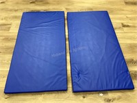 2 Blue Nap Time Mats