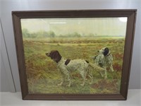 Framed Vintage Sporting Print of Setters by