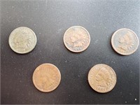 Indian Head Penny lot of 5. Pennies are randomly