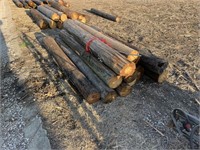 8 Ft Fence Posts - 12 Total