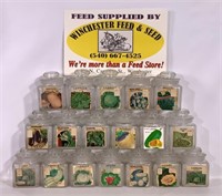 20 Feed store jars: Watermelon seeds in ground