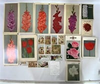150 flower placards from the "Winchester