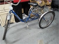 Runabout tricycle with a basket