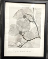 Steve N. Meyers Radiographs of Nature Print