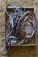 Assorted Leather Horse Bridles