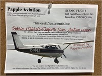 10 min Senic flight for 1-3 people Value $155