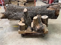 Oklahoma Live Oak Log