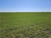 153 Acres M/L Kingman County Kansas